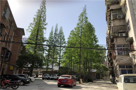 诸城一中明诚家园3室2厅2卫142㎡